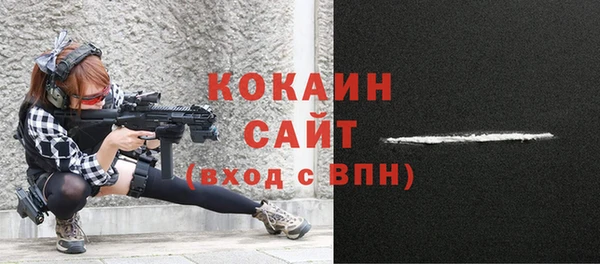ALPHA PVP Новозыбков